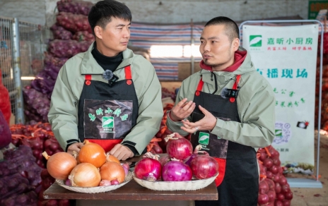 洋蔥---跨越歷史與文化的美味魔方